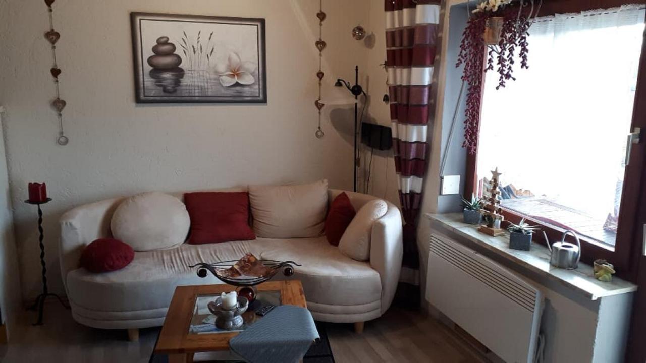 Haus Monika Apartamento Waldmünchen Exterior foto
